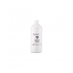 Sanitizer Σπρέι 1000ml